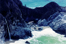 Pfeiffer-Burns State Park @ Big Sur