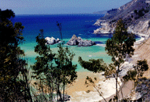 Pfeifer Burns State Park @ Big Sur