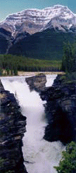 Athabasca Falls, Jasper, Alberta