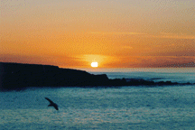 Spooner's Cove Sunset